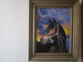 obrazy  -námět koně-olejomalba-akvarel - 11