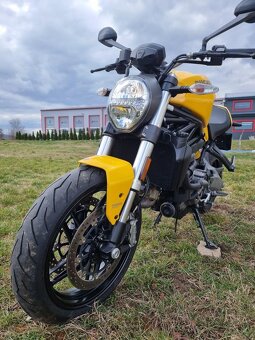 Ducati Monster 821, 2018 - 11