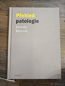 Knihy - adiktologie, psychologie, zdravotnictví, čeština - 11