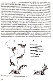 Zoologie obratlovců v PDF - 11