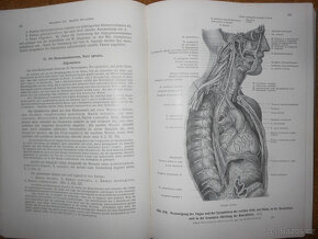 Staré knihy Anatomie člověka - 12