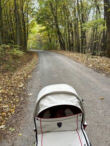 Cybex Priam Seat Pack Ferrari Silver Grey - 12