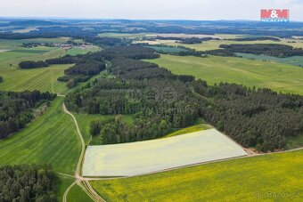 Prodej provozní plochy, 49419 m², Ostrov u Bezdružic - 12