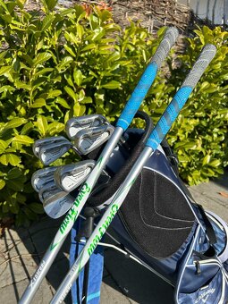 Prodám značkový pánský golfový set MIZUNO - 12