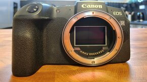 CANON - EOS RP - 12