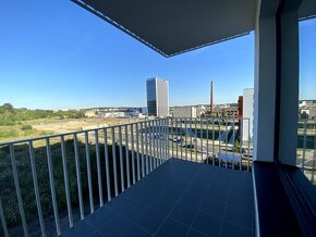 Pronájem zařízeného bytu 2+kk, 60 m2, balkon, šatna, garáž,  - 12