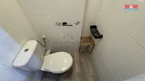 Prodej bytu 5+1 a větší, 214 m², Branice - 12