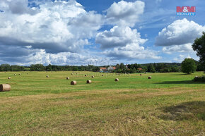 Prodej louky, 3835 m², Velečín - 12