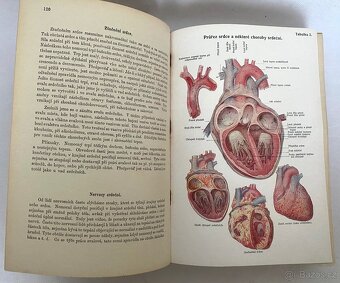 Přírodní léčba - domací lékař - 12