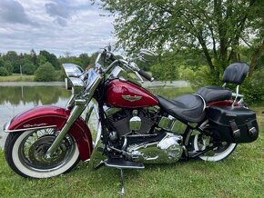 Harley-Davidson FLSTNI Softail Deluxe - 12