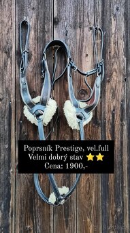 Poprsník Prestige, poprsník John Whitaker - 12