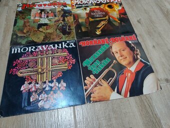 Lp desky dechovky mix Lesanka Budvarka - 12