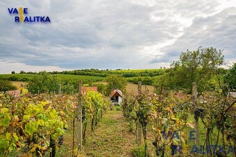 Prodej, penzionu a vinařství, Mutěnice, okr. Hodonín - 12