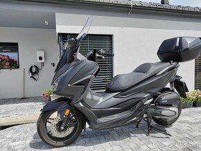 Honda Forza 125 záruka 12 měsíců - 12