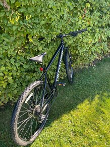 SPECIALIZED ROCKHOPPER vel. XL - 12