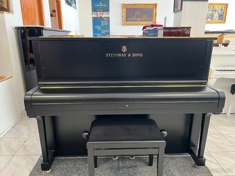 Steinway &Sons se zárukou 2 roky, doprava zdarma. - 13