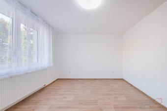 Pronájem rodinného domu 249 m² - Vyškov - 13