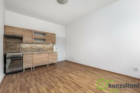 Prodej bytu 2+kk, 48 m2 - Praha - Nusle, ev.č. 00572 - 13