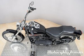 Harley-Davidson FXST Softail Standard 2000 - 13