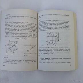 Matematika pro střední školy / gymnázia - 13