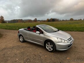 Peugeot 307 CC 2.0i 100 kW - 13