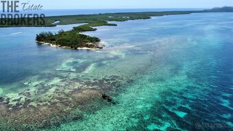 Bailey's Caye Old Port Royal, Roatan - 13