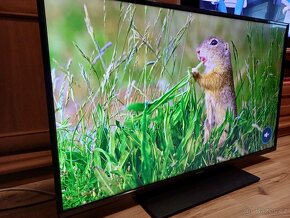 4K Smart TV 43" Panasonic TX-43GX550E-úhlopříčka 108cm - 13