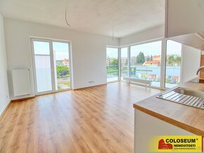 Znojmo, pronájem nadstandartního bytu 4+kk,106 m2, balkon -  - 13