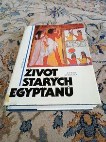 Knihy viz seznam níže - beletrie i odborná literatura - 13