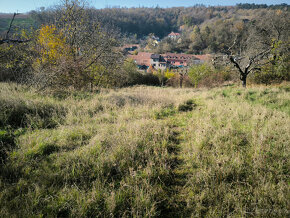 Prodej-pozemek-Zahrada Mokrá-Horákov u Brna 500m2 - 13