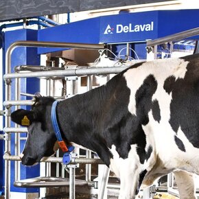 DeLaval transponder DB-AGB-274 identifikační štítek - 13