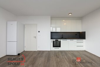 Pronájem, byty/1+kk, 44 m2, Železná 3061/10, Jižní Předměstí - 13