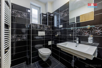 Prodej rodinného domu, 180 m², Stanovice - 13