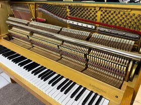 STEINWAY & SONS po prvním majiteli, se zárukou 2 roky. - 13