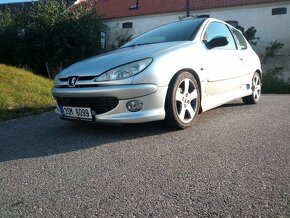 Peugeot 206 - 13