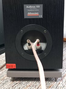 DYNAUDIO AUDIENCE 122 - 13