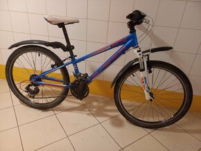 Dětské/juniorské kolo Superior Racer XC 24” modré - 13