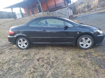 Peugeot 307 cc Cabrio - 14