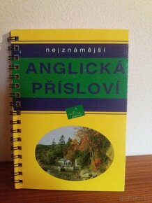 Cesko-Anglicke, Anglicko ceske slovniky, velký výběr - 14