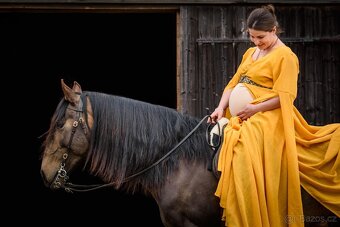 Exkluzivní Lusitano kobyla - 14