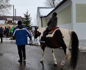 Kvalitní Paint Horse klisna 7 panel NN, homozygot TT - 14