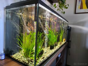 akvarium diversa 240litru - 14