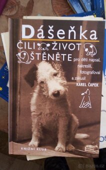 Dětská literatura - 14