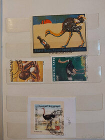 Tématická sbírka poštovních známek - pštrosy - 14