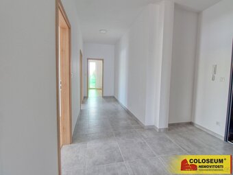 Znojmo, pronájem nadstandartního bytu 4+kk,106 m2, balkon -  - 14