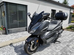 Honda Forza 125 záruka 12 měsíců - 14