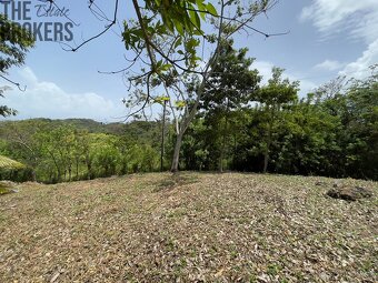 Lot 1 Bodden Bight Estate, Roatan - 15