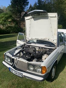 Mercedes Benz W123 - 15