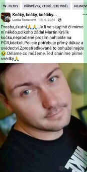 Koťata dle domluvy - 15