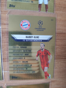 Fotbalové kartičky Match Attax 2024/25 - Golden Edge - 15